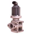Valvola EGR Revisionata Fiat - Lancia - Opel 1.9 - 2.4 JTD 55204250