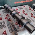 Albero a Camme Smart 600cc 700cc A1600500101 Q0003067V003000 Q0367V00300000