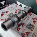 Albero a Camme Smart 600cc 700cc A1600500101 Q0003067V003000 Q0367V00300000