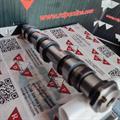 Albero a Camme Smart 600cc 700cc A1600500101 Q0003067V003000 Q0367V00300000