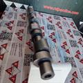 Albero a Camme Fiat Bravo Brava 1.4cc Lancia Y 1.4cc 12 Valvole 7724588
