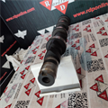 Albero a Camme Aspirazione Fiat Lancia 1.6cc 16v 46530228 46466370 CM05-2163