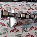 Albero a Camme Opel 1.7cc DTI 16v Isuzu Aspirazione OR: 636027 Ingranaggio 55mm