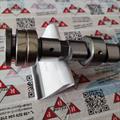 Albero a Camme Opel 1.7cc DTI 16v Isuzu Aspirazione OR: 636027 Ingranaggio 55mm