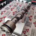 Albero a Camme Opel 1.7cc DTI 16v Isuzu Aspirazione OR: 636027 Ingranaggio 55mm