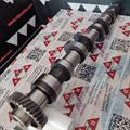 Albero a Camme Opel 1.7cc DTI 16v Isuzu Scarico OR: 636028 Ingranaggio 55mm