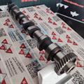 Albero a Camme Opel 1.7cc DTI 16v Isuzu Scarico OR: 636028 Ingranaggio 55mm