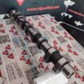 Albero a Camme Opel 1.7cc DTI 16v Isuzu Scarico OR: 636028 Ingranaggio 55mm
