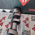 Albero a Camme Opel 1.7cc DTI 16v Isuzu Scarico OR: 636028 Ingranaggio 55mm