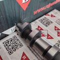 Albero a Camme Opel 1.7cc DTI 16v Isuzu Scarico OR: 636028 Ingranaggio 55mm