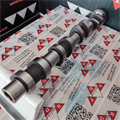Albero a Camme Opel 1.7cc DTI 16v Isuzu Scarico OR: 636028 Ingranaggio 55mm