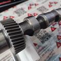 Albero a Camme Audi Skoda VW 2.5 TDI V6 Aspirazione CYL 4, 5, 6, OR: 059109021BQ