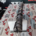 Albero a Camme Audi Skoda VW 2.5 TDI V6 Aspirazione CYL 4, 5, 6, OR: 059109021BQ