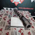 Albero a Camme Audi Skoda VW 2.5 TDI V6 Aspirazione CYL 1, 2, 3 OR: 059109021BP