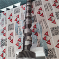 Albero a Camme Audi VW 2.5cc TDI V6 24v Scarico CYL 1-2-3 059109022BC