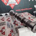 Albero a Camme Audi VW 2.5cc TDI V6 24v Scarico CYL 1-2-3 059109022BC