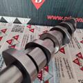 Albero a Camme VW Multivan Touareg Transporter 2.5cc TDI PD 070109101P CM05-2125