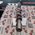 Albero a Camme Seat Volkswagen 1.4cc Benzina 030109101AM AEX AKV ANX CM05-2240
