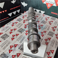 Albero a Camme VW Multivan Touareg Transporter 2.5cc TDIPD 5 Cilindri 070109101Q