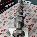 Albero a Camme VW Multivan Touareg Transporter 2.5cc TDIPD 5 Cilindri 070109101Q