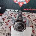 Albero a Camme Audi VW 2.5cc TDI V6 24v Scarico CYL1-2-3 059109009AF-BQ-BH Rullo