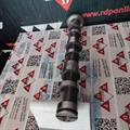 Albero a Camme Audi VW 2.5cc TDI V6 24v Scarico CYL1-2-3 059109009AF-BQ-BH Rullo