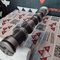 Albero a Camme Audi VW 2.5cc TDI V6 24v Scarico CYL1-2-3 059109009AF-BQ-BH Rullo