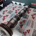 Albero a Camme Audi VW 2.5cc TDI V6 24v Scarico CYL4-5-6 059109022AG-BR-BJ Rullo