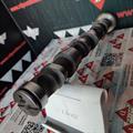Albero a Camme Audi VW 2.5cc TDI V6 24v Scarico CYL4-5-6 059109022AG-BR-BJ Rullo