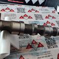 Albero a Camme Audi VW 2.5cc TDI V6 24v Scarico CYL4-5-6 059109022AG-BR-BJ Rullo