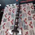 Albero a Camme Audi VW 2.5cc TDI V6 24v Aspirazione CYL 1-2-3 059109021BA Rullo