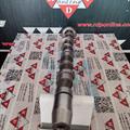 Albero a Camme Audi VW 2.5cc TDI V6 24v Aspirazione CYL 1-2-3 059109021BA Rullo