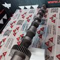 Albero a Camme Audi VW 2.5cc TDI V6 24v Aspirazione CYL 4-5-6 059109021CS Rullo