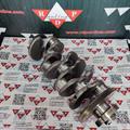 Albero Motore Usato STD Audi Volkswagen VW  Skoda Seat 2.0cc - 8 Fori Volano 03N