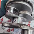 Albero Motore Usato STD Audi Volkswagen VW  Skoda Seat 2.0cc - 8 Fori Volano 03N