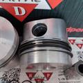 Kit 2 Pistoni Lombardini 7LD 8LD Ø100,50 Compressione 58 Spinotto 28 Camera 47.5