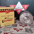 Pistone Slanzi DVA 790 Ø 100,50 Compressione 55 Spinotto 30 Camera 50m Disassata