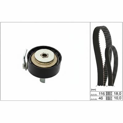 Kit Distribuzione 2Cinghie + Cusc. Bagno Olio 116x18 Pompa Olio 46x10 Ford 1.0cc