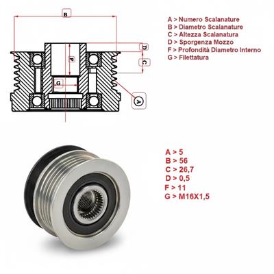 Puleggia a Ruota Libera Alternatore IVEG TC1556 Dacia Nissan Renault 8200113636