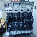 Motore Revisionato PSA Peugeot Citroen Ford Opel 2.0cc Tdci Vedi Foto