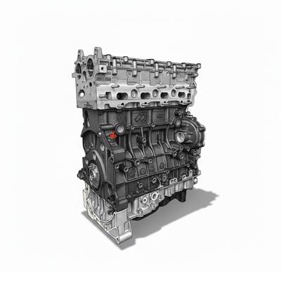 Motore Revisionato PSA Peugeot Citroen Ford Opel 2.0cc Tdci Vedi Foto