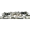 Kit Albero Camme Audi Volkswagen 1.9 2.0 TDI con Punterie Bronzine Bulloni