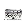 Testata Audi VW Volkswagen 2.0 Tdi 16v con kit guarnizione e Bulloni Omaggio BKD