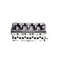 Testata Audi VW Volkswagen 2.0 Tdi 16v con kit guarnizione e Bulloni Omaggio BKD
