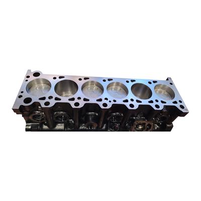 Motore Revisionato BMW 524TD 525TD 246TB 246DA 24189 M21D24WA Foto Reali
