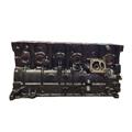Motore Revisionato BMW 524TD 525TD 246TB 246DA 24189 M21D24WA Foto Reali